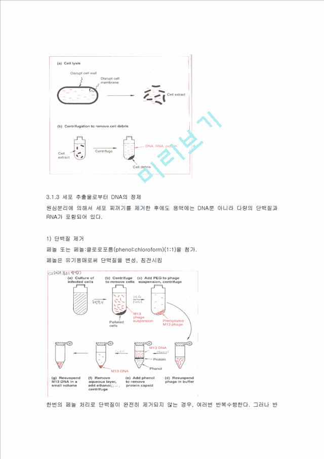 [의학,약학] [미생물학 실험] 세포로부터의 DNA 분리, 정제.hwp